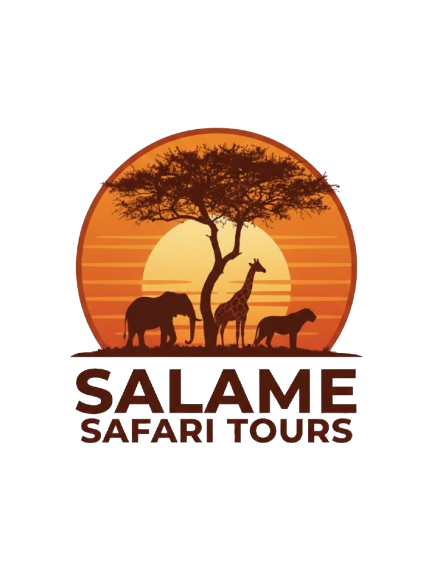 Salame Safari Tours Logo
